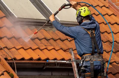Démoussage et hydrofuge de toiture à Lamayou